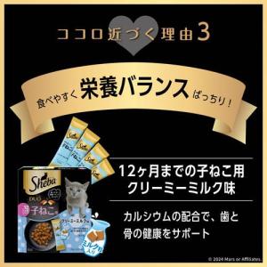 シーバ デュオ 12ヶ月までの子ねこ用 クリー...の詳細画像4