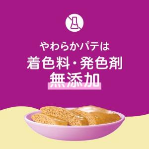 カルカン パウチ 12ヵ月までの子ねこ やわら...の詳細画像1