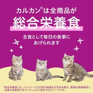 カルカン パウチ 12ヵ月までの子ねこ やわら...の詳細画像2