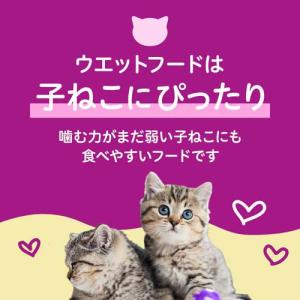 カルカン パウチ 12ヵ月までの子ねこ やわら...の詳細画像3