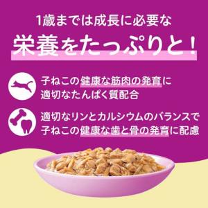 カルカン パウチ 12ヵ月までの子ねこ やわら...の詳細画像4