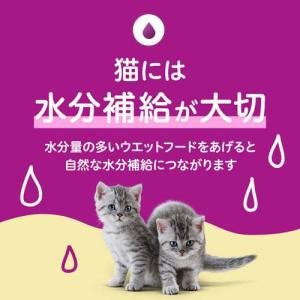 カルカン パウチ 12ヵ月までの子ねこ やわら...の詳細画像5