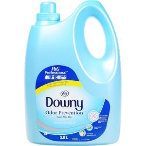 ベトナムダウニー オドー プリベンション ( 3.8L )/ ダウニー(Downy) ( 柔軟剤 )