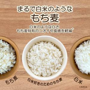 はくばく 白米好きのためのもち麦 ( 500g...の詳細画像1