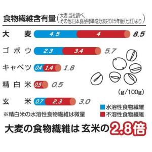 はくばく 胚芽押麦 スタンドパック ( 45g...の詳細画像2