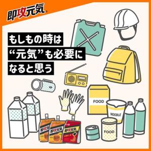 即攻元気ゼリー アミノ酸&ローヤルゼリー 栄養...の詳細画像4