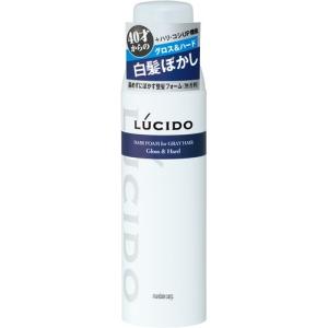 ルシード 白髪用整髪フォーム グロス＆ハード ( 185g )/ ルシード(LUCIDO)｜soukai