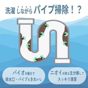 緑の魔女 ランドリーパウダー 衣料用粉末洗剤 ...の詳細画像4