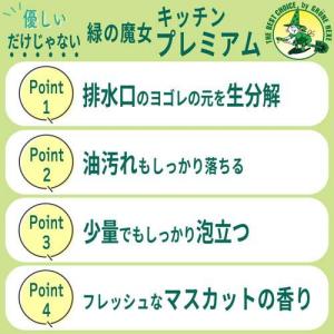 緑の魔女 キッチンプレミアム 食器用洗剤 つめ...の詳細画像3