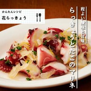 桃屋 花らっきょう ( 115g )/ 桃屋 ...の詳細画像3
