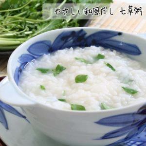 ユウキ食品 やさしい味わいの和風だし ( 40...の詳細画像4