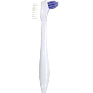 ライオン義歯ブラシの商品一覧 通販 - Yahoo!ショッピング