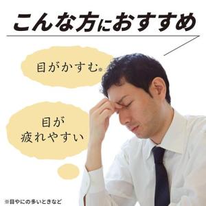 (第2類医薬品)スマイル40プレミアム ( 1...の詳細画像2