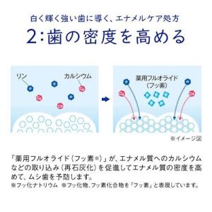 クリニカ エナメルパール フレッシュシトラスミ...の詳細画像2