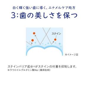 クリニカ エナメルパール フレッシュシトラスミ...の詳細画像3