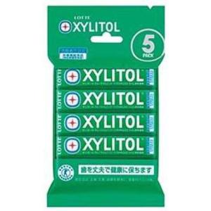 キシリトールガム ブラックミント ファミリーボトル ( 133g ) : 爽快