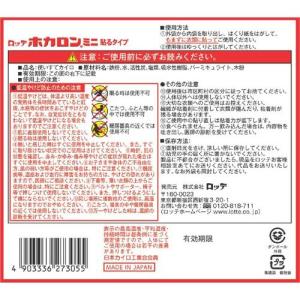 カイロ/ホカロン 貼るミニ ( 30個入 )/...の詳細画像1