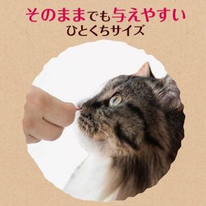 素材そのまま ねこちゃんの 完全無添加 フリー...の詳細画像4