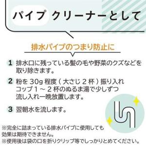 パックスナチュロン 洗濯槽&排水パイプ クリー...の詳細画像4