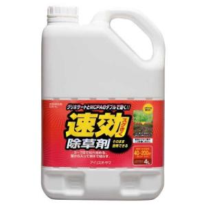 4L / 1本