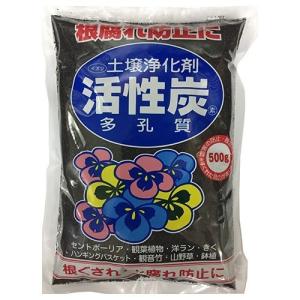 藤原産業 セフティー3 自動水やり器(散水タイマー) SAW-2 ( 1台