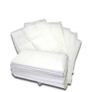 ペットシーツ レギュラー 厚型 炭入り ( 100枚入 )/ オリジナル ペットシーツ