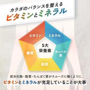 マルチビタミン&ミネラル Base POWER...の詳細画像3