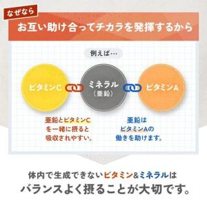 マルチビタミン&ミネラル Base POWER...の詳細画像4