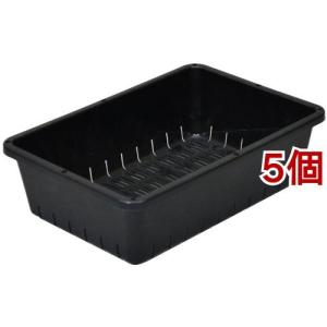 育苗コンテナー 6型 ブラック ( 1コ入*5コ...の商品画像