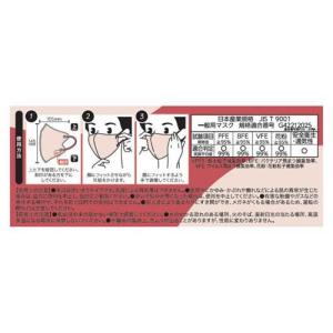 E-lineマスク ふつう ベージュ×ワインレ...の詳細画像1