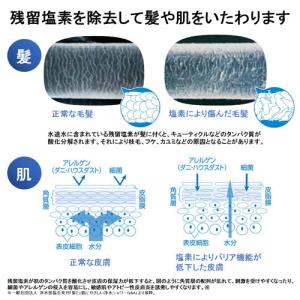 東レ トレビーノ 浄水シャワーヘッド トレシャ...の詳細画像2