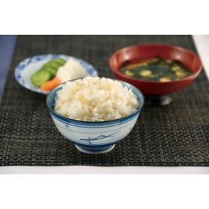 国内産もち麦(丸麦) ( 600g ) ( 食...の詳細画像3