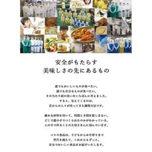 コスモ 直火焼カレールー 辛口 ( 170g ...の詳細画像1
