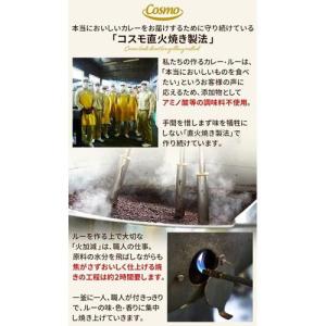 コスモ 直火焼カレールー 辛口 ( 170g ...の詳細画像2