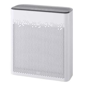 ☆ IA300PF 空気清浄機 活性炭フィルター　ペット臭用　2枚入リ アイリスオーヤマ 空気清浄機用活性炭フィルター(ペット臭用) IA-300PF