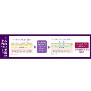 菊正宗 正宗印 導入美容液 ( 185ml )...の詳細画像3