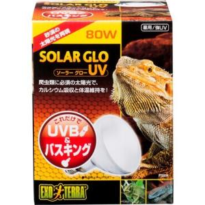 SOLAR GLO UVランプ 125W & タイマーサーモスタットセット エキゾテラ ソーラーグローUV 125W PT2192 ( 1個 )/ : 爽快ドラッグ