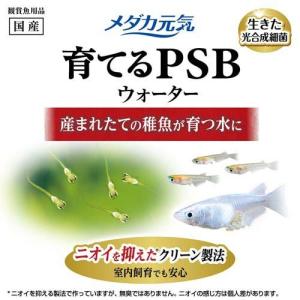 メダカ元気 育てるPSBウォーター ( 1L )の詳細画像2