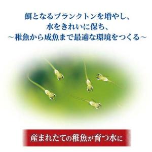 メダカ元気 育てるPSBウォーター ( 1L )の詳細画像3