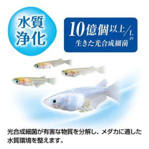 メダカ元気 育てるPSBウォーター ( 1L )の詳細画像5