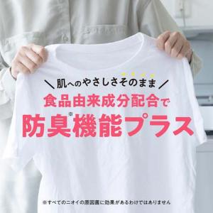ヤシノミ柔軟剤本体 オサムグッズ ( 520m...の詳細画像4