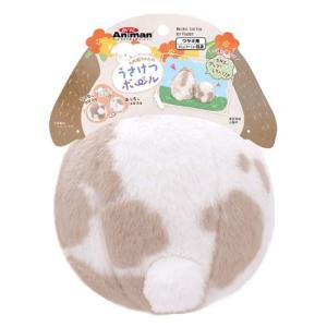 ミニアニマン ウサギのキャロットハウス 替えスノコ ( 2枚入 )/ : 爽快