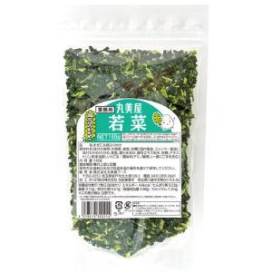 桃屋のフライドにんにく こしょう味 ( 40g )/ 桃屋 ガーリック