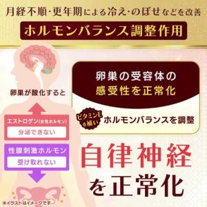 (第3類医薬品)ユベラックスα2 ( 240カ...の詳細画像3