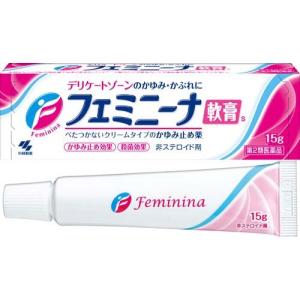 (第2類医薬品)小林製薬 フェミニーナ軟膏S(セルフメディケーション税制対象) ( 15g )/ フェミニーナ｜soukai