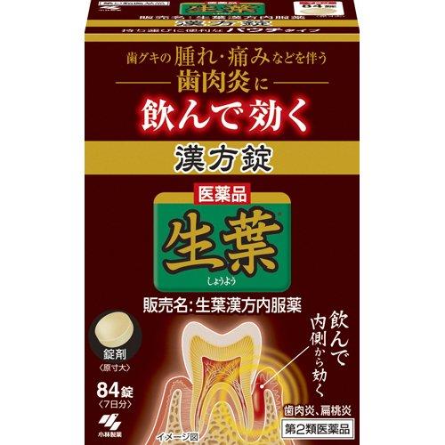 (第2類医薬品)生葉漢方錠 ( 84錠 )/ 生葉 ( 歯肉炎 扁桃炎 )