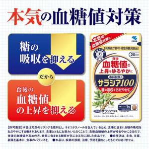 サラシア100 約20日分 食後の血糖値が高め...の詳細画像1