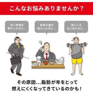 (第2類医薬品)ナイシトールZa ( 420錠...の詳細画像2