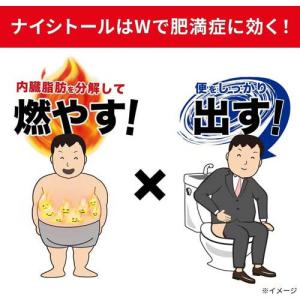 (第2類医薬品)ナイシトールZa ( 420錠...の詳細画像3