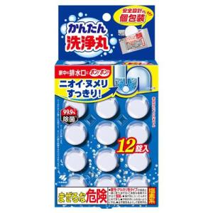 アムウェイ　スクラブバッズ　4個入り　16箱　新品　即日発送 アムウェイ スクラブ バッズ 金属たわし 4個入り : BRハウス Yahoo!店